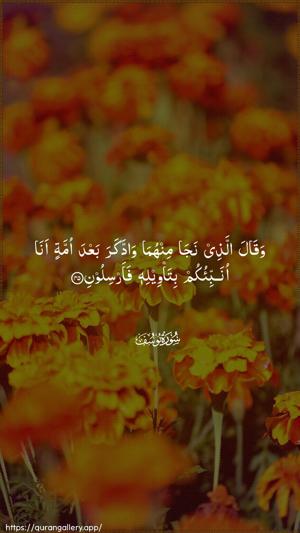 Yusuf Ayah 45 - Arabic wallpaper