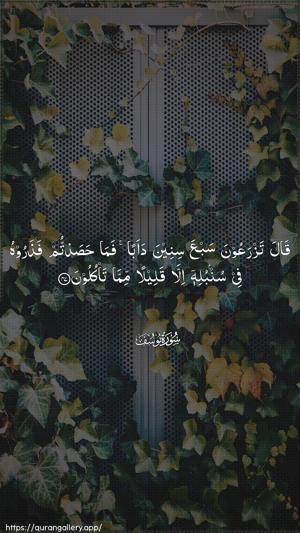 Yusuf Ayah 47 - Arabic wallpaper
