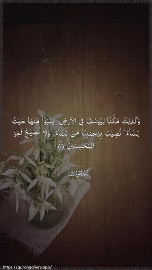 Yusuf Ayah 56 - Arabic wallpaper