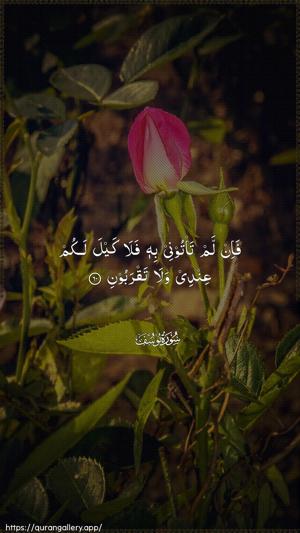 Yusuf Ayah 60 - Arabic wallpaper