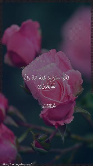 Yusuf Ayah 61 - Arabic wallpaper