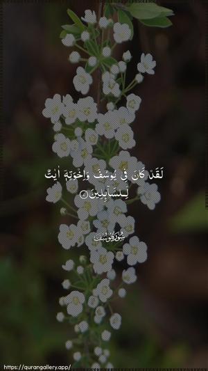 Yusuf Ayah 7 - Arabic wallpaper