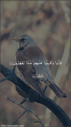 Yusuf Ayah 71 - Arabic wallpaper