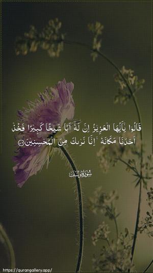 Yusuf Ayah 78 - Arabic wallpaper