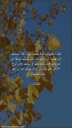 Yusuf Ayah 80 - Arabic wallpaper