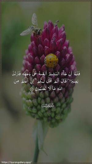 Yusuf Ayah 96 - Arabic wallpaper