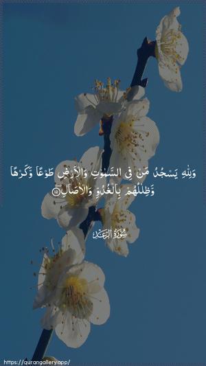 Ar-Ra"d Ayah 15 - Arabic wallpaper