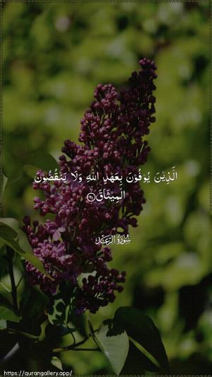 Ar-Ra"d Ayah 20 - Arabic wallpaper