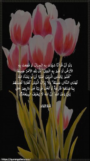 Ar-Ra"d Ayah 31 - Arabic wallpaper