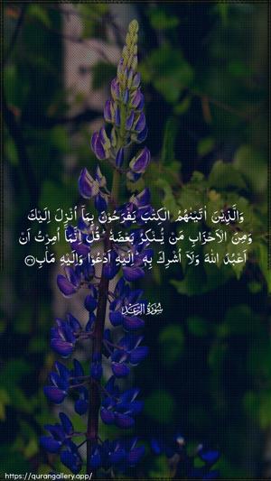 Ar-Ra"d Ayah 36 - Arabic wallpaper