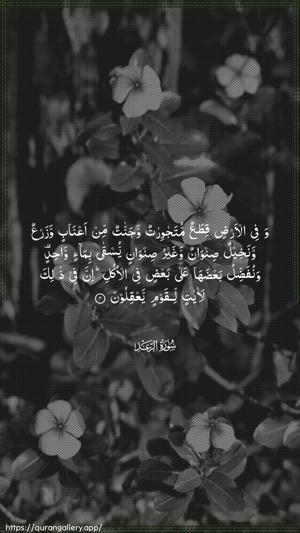 Ar-Ra"d Ayah 4 - Arabic wallpaper
