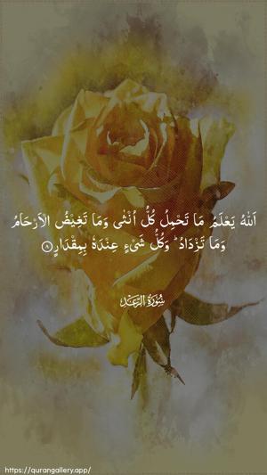 Ar-Ra"d Ayah 8 - Arabic wallpaper