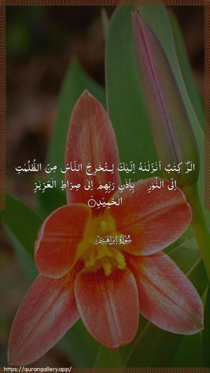 Ibrahim Ayah 1 - Arabic wallpaper