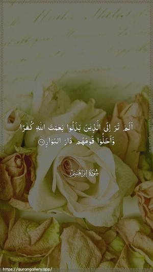 Ibrahim Ayah 28 - Arabic wallpaper