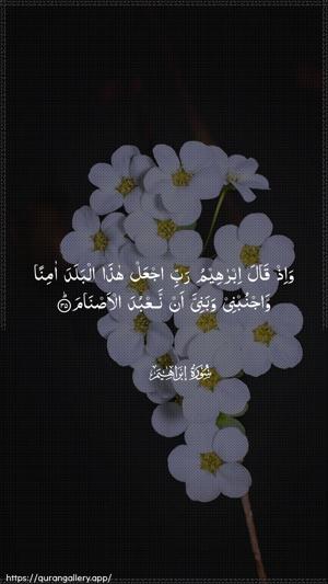 Ibrahim Ayah 35 - Arabic wallpaper