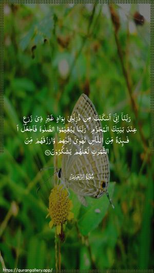 Ibrahim Ayah 37 - Arabic wallpaper