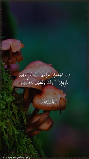Ibrahim Ayah 40 - Arabic wallpaper