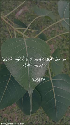 Ibrahim Ayah 43 - Arabic wallpaper
