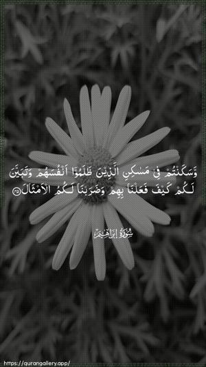 Ibrahim Ayah 45 - Arabic wallpaper