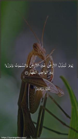 Ibrahim Ayah 48 - Arabic wallpaper