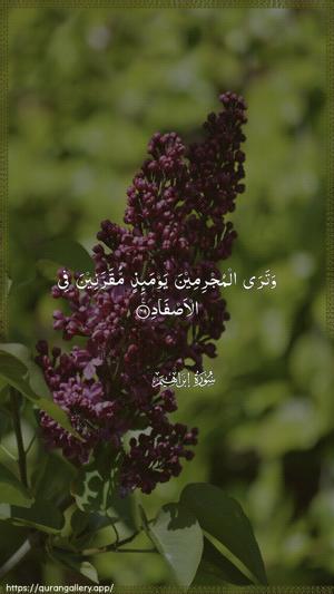 Ibrahim Ayah 49 - Arabic wallpaper
