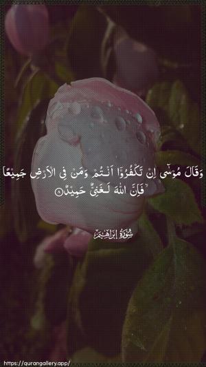 Ibrahim Ayah 8 - Arabic wallpaper