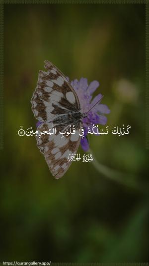 Al-Hijr Ayah 12 - Arabic wallpaper