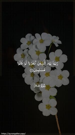 Al-Hijr Ayah 2 - Arabic wallpaper