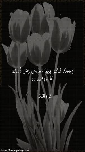 Al-Hijr Ayah 20 - Arabic wallpaper