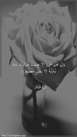 Al-Hijr Ayah 21 - Arabic wallpaper