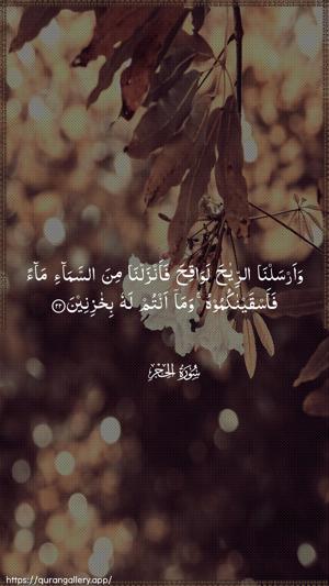 Al-Hijr Ayah 22 - Arabic wallpaper