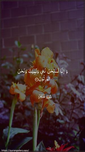 Al-Hijr Ayah 23 - Arabic wallpaper