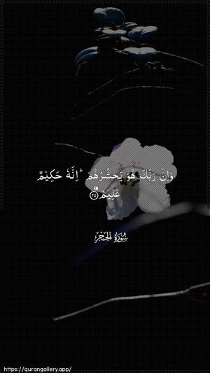 Al-Hijr Ayah 25 - Arabic wallpaper