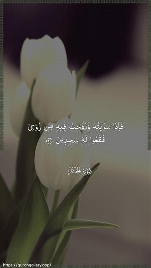 Al-Hijr Ayah 29 - Arabic wallpaper