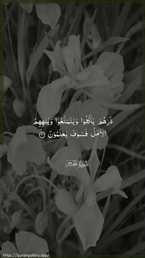Al-Hijr Ayah 3 - Arabic wallpaper