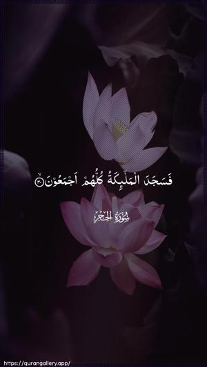 Al-Hijr Ayah 30 - Arabic wallpaper