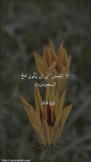 Al-Hijr Ayah 31 - Arabic wallpaper
