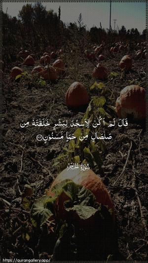Al-Hijr Ayah 33 - Arabic wallpaper