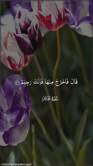 Al-Hijr Ayah 34 - Arabic wallpaper
