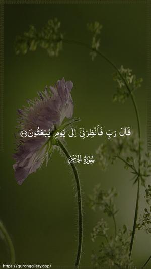 Al-Hijr Ayah 36 - Arabic wallpaper