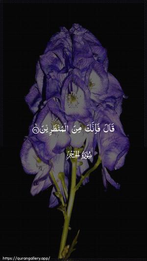 Al-Hijr Ayah 37 - Arabic wallpaper