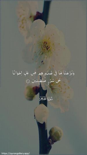 Al-Hijr Ayah 47 - Arabic wallpaper