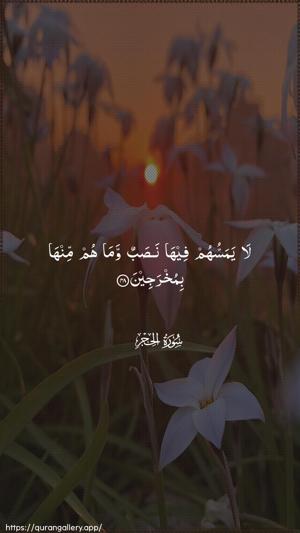 Al-Hijr Ayah 48 - Arabic wallpaper