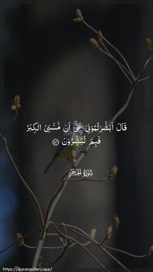 Al-Hijr Ayah 54 - Arabic wallpaper