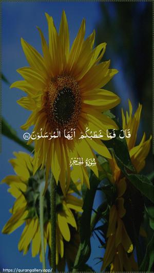 Al-Hijr Ayah 57 - Arabic wallpaper
