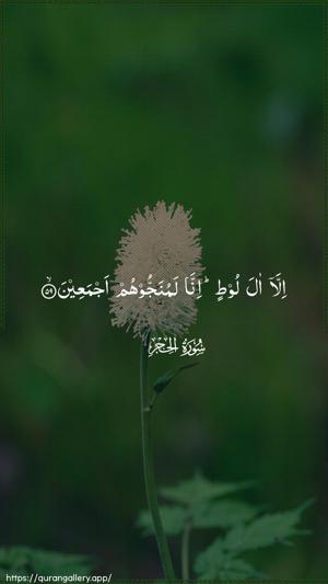 Al-Hijr Ayah 59 - Arabic wallpaper