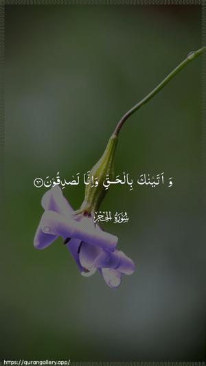 Al-Hijr Ayah 64 - Arabic wallpaper