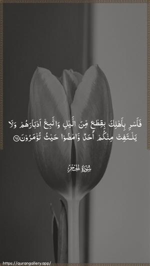 Al-Hijr Ayah 65 - Arabic wallpaper