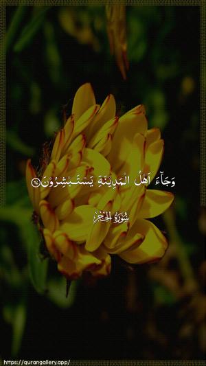 Al-Hijr Ayah 67 - Arabic wallpaper