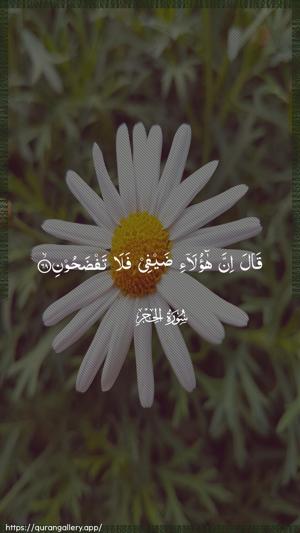 Al-Hijr Ayah 68 - Arabic wallpaper